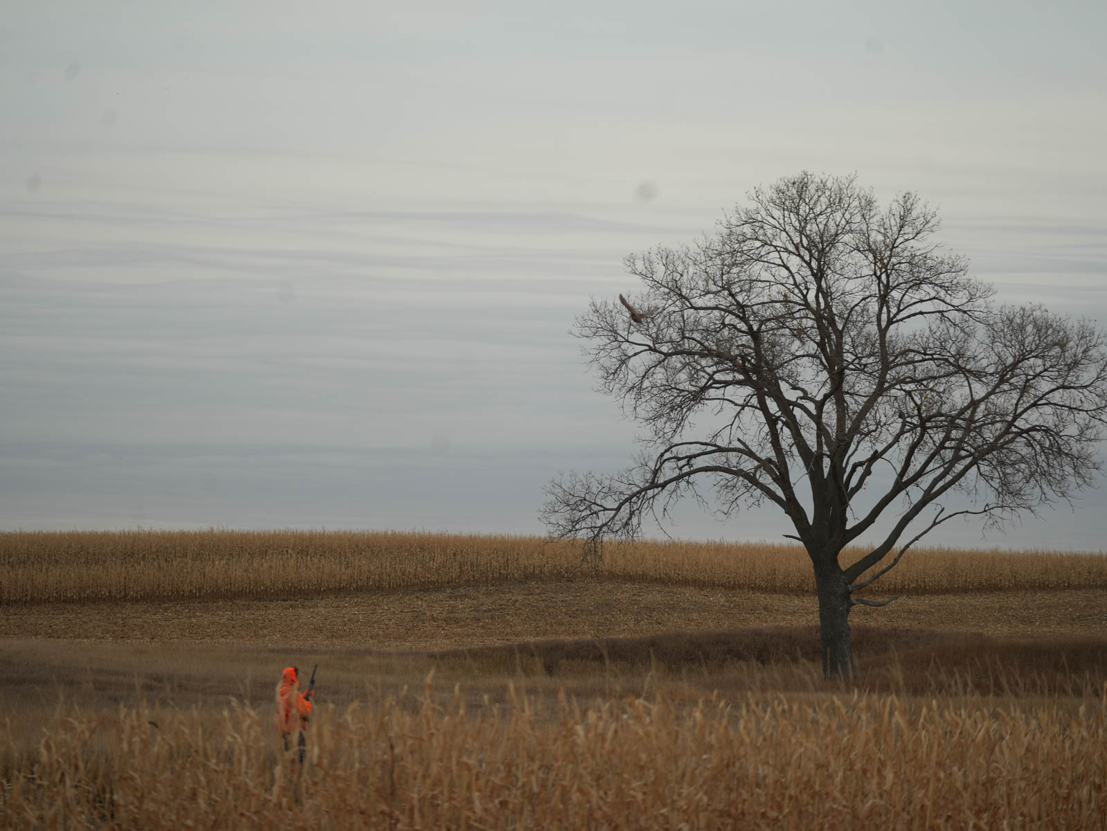 LaForge Farm & Hunting Land property picture 17 of 64