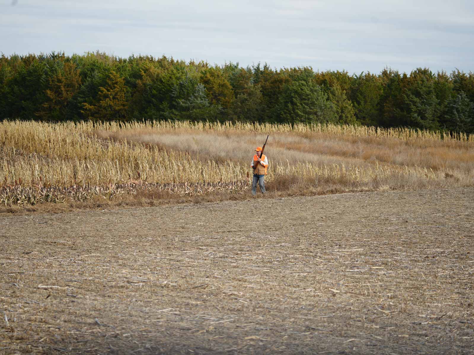 LaForge Farm & Hunting Land property picture 22 of 64