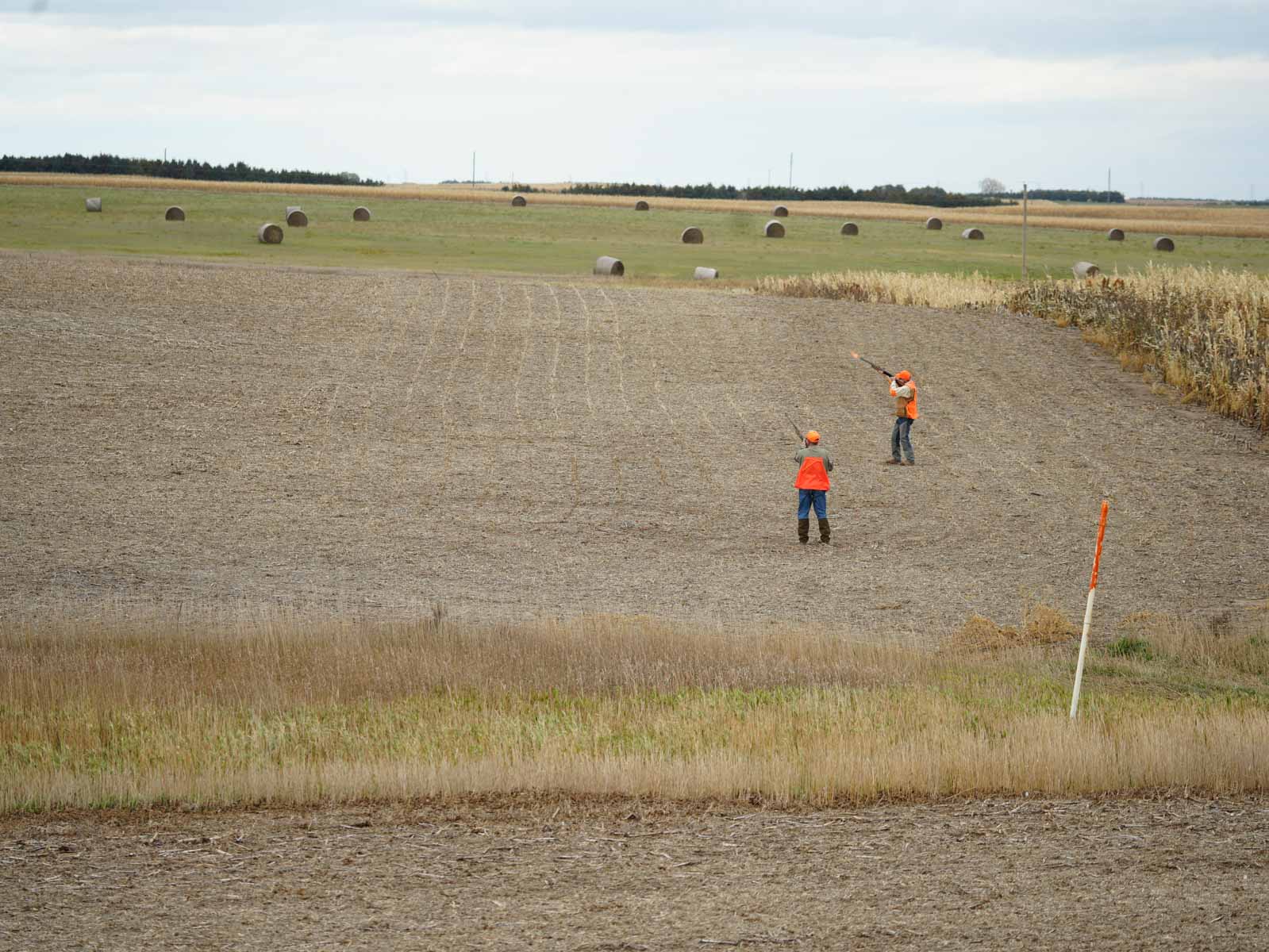 LaForge Farm & Hunting Land property picture 29 of 64