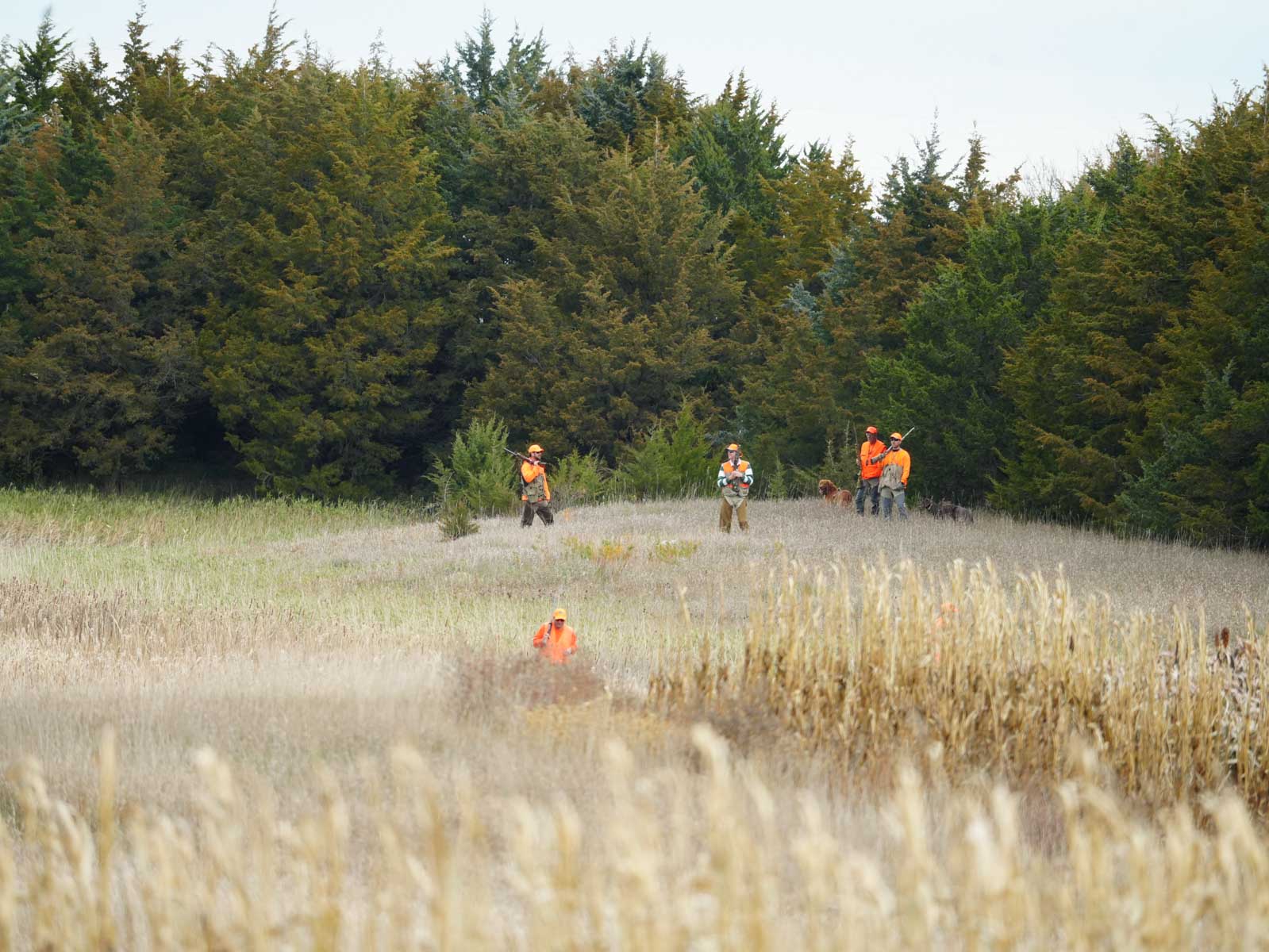 LaForge Farm & Hunting Land property picture 30 of 64