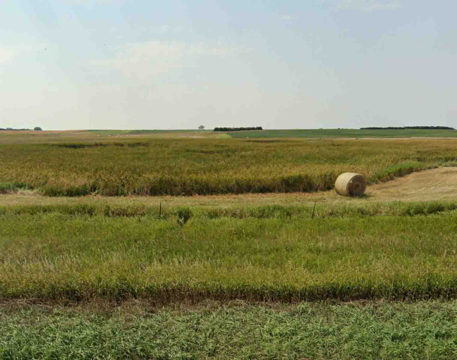 LaForge Farm & Hunting Land property picture 2 of 64