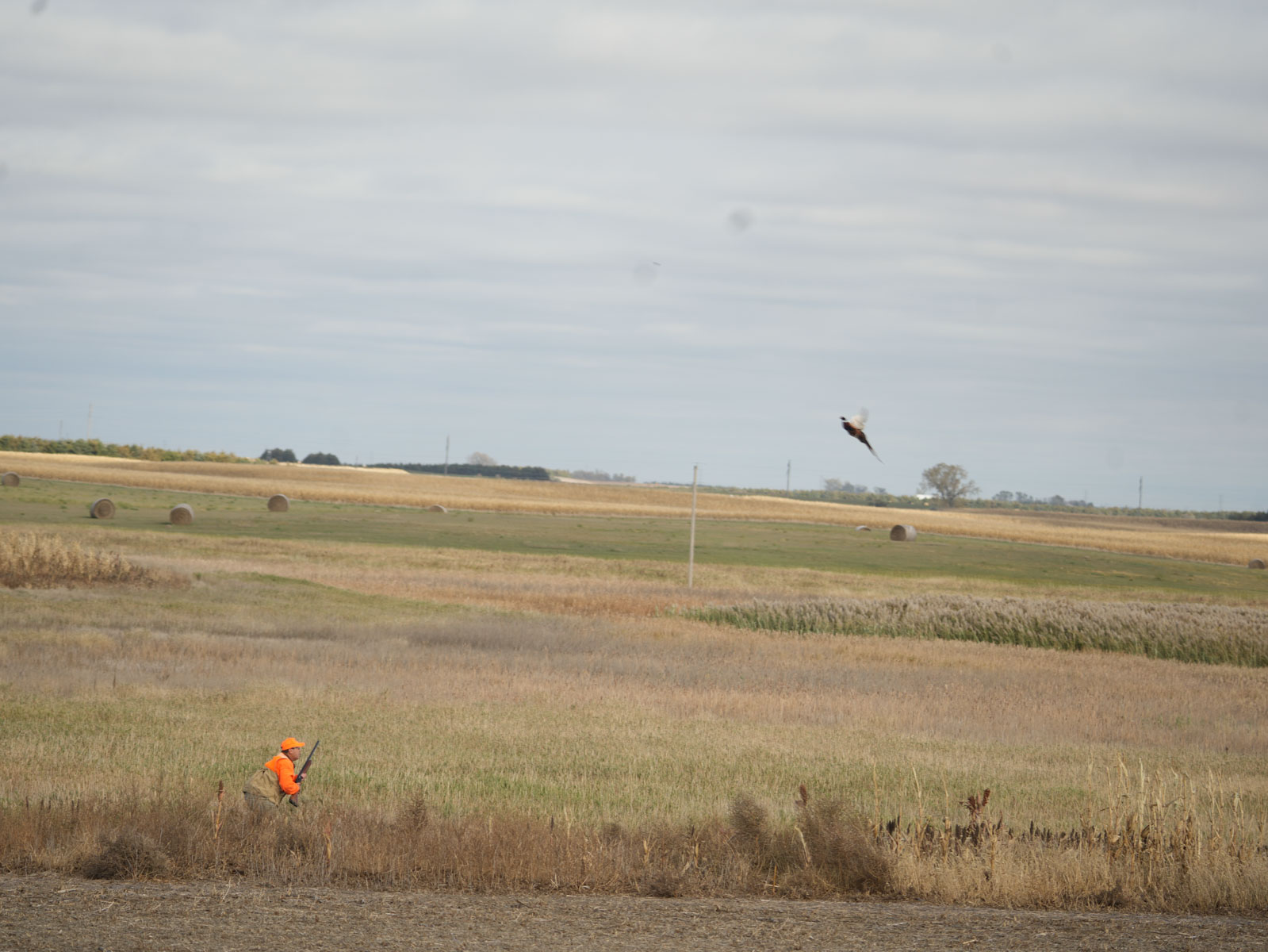 LaForge Farm & Hunting Land property picture 21 of 64