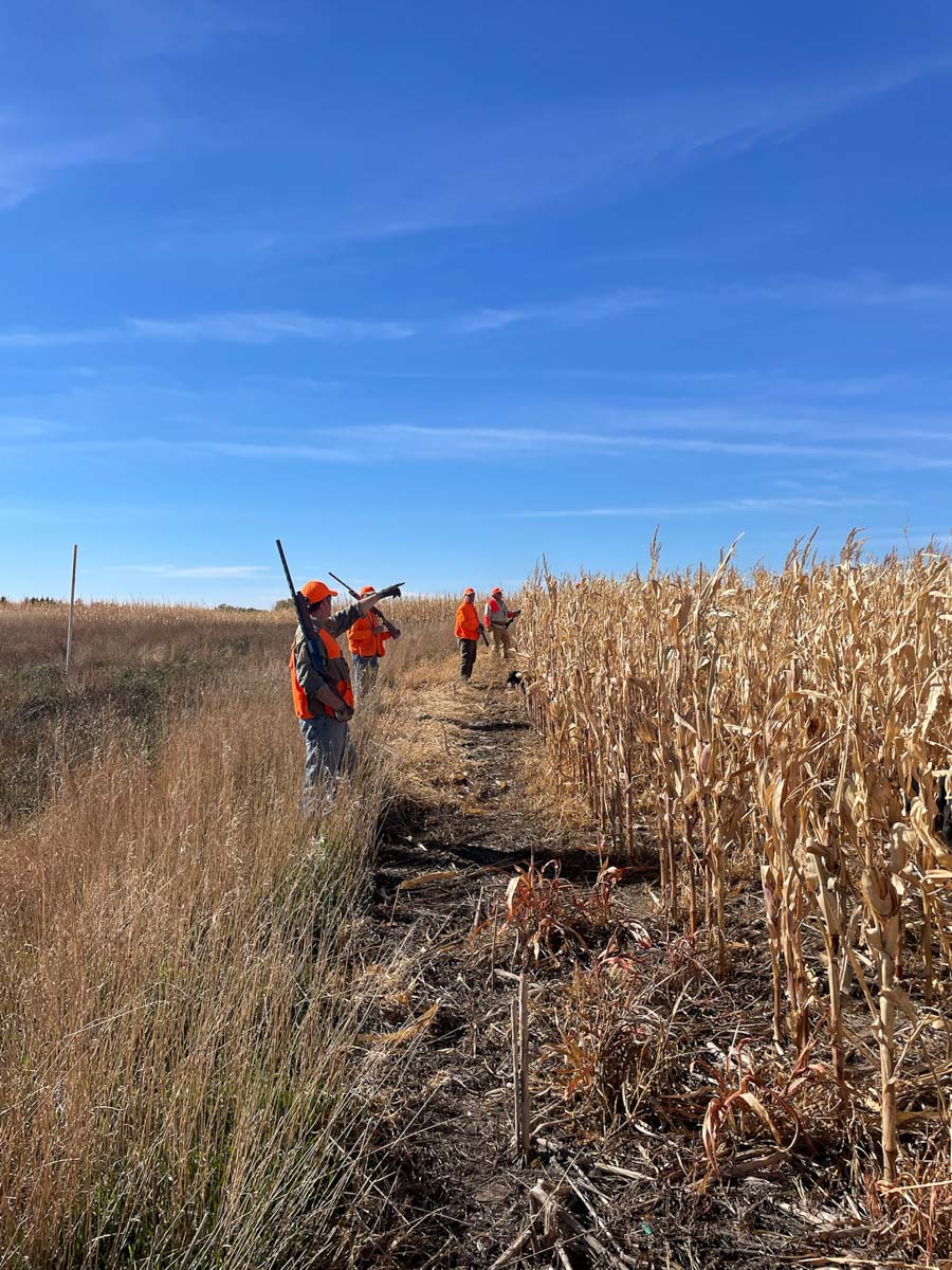 LaForge Farm & Hunting Land property picture 5 of 64