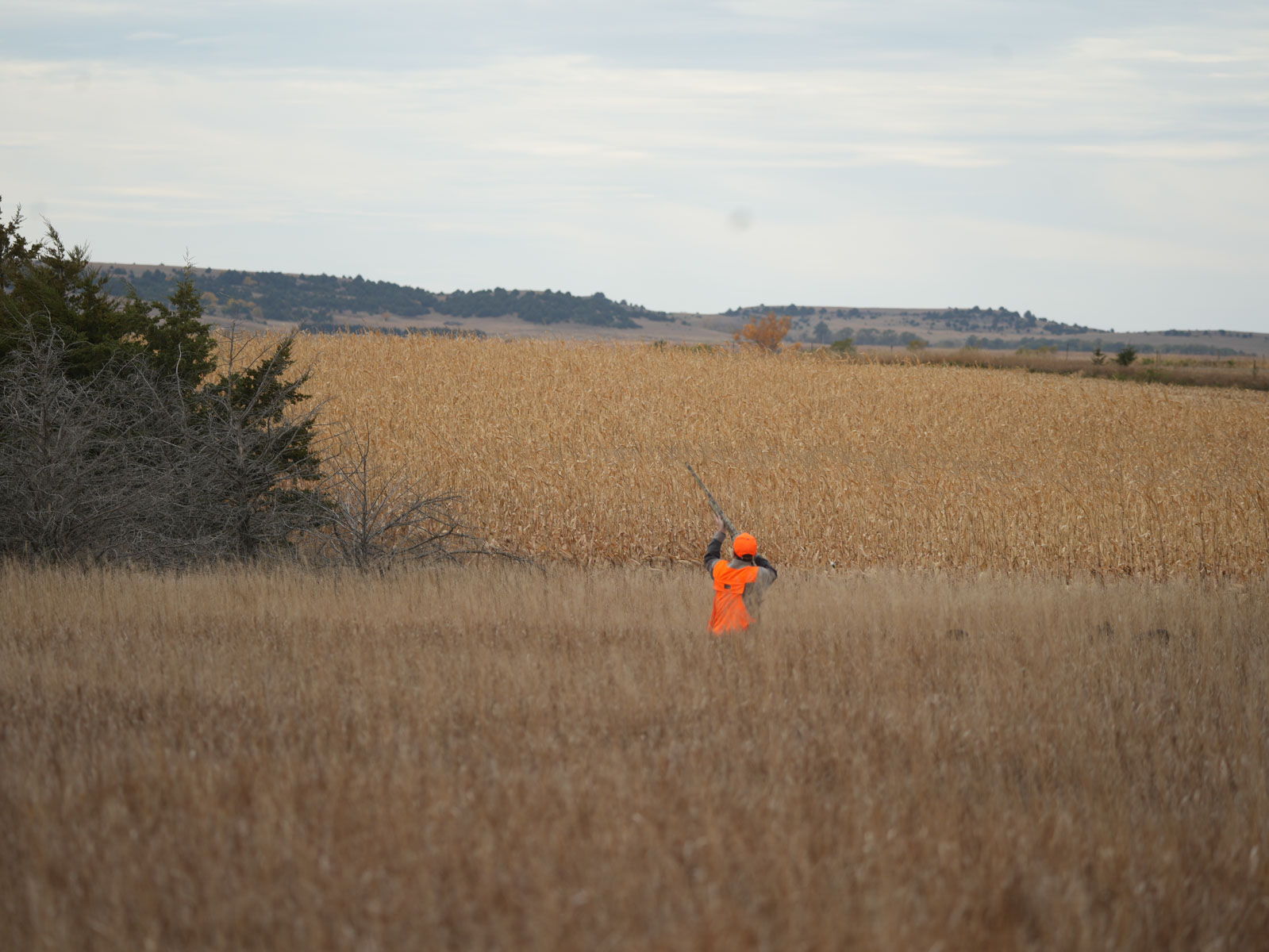 LaForge Farm & Hunting Land property picture 12 of 64