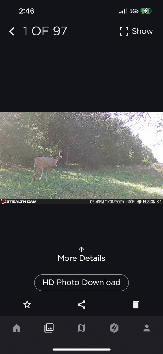 LaForge Farm & Hunting Land property picture 36 of 64