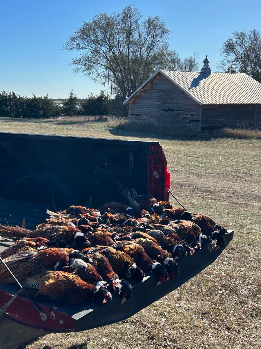 LaForge Farm & Hunting Land property picture 4 of 64