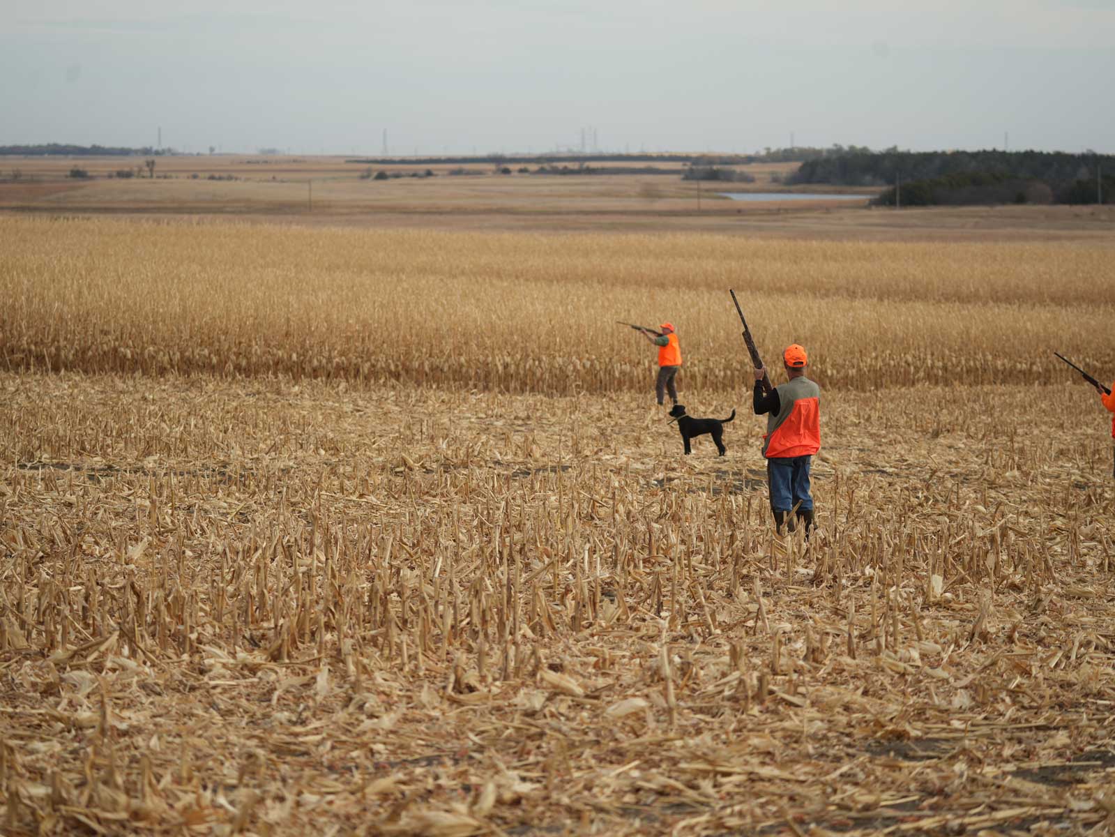 LaForge Farm & Hunting Land property picture 10 of 64