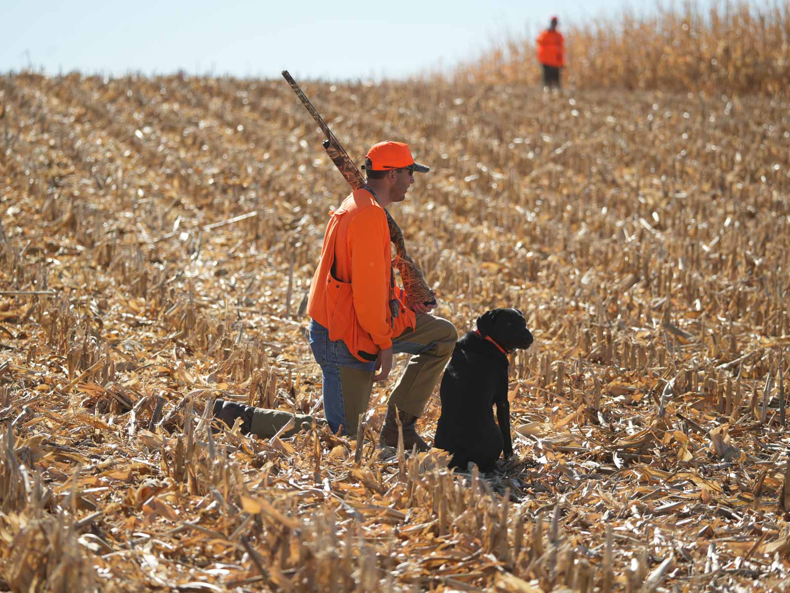 LaForge Farm & Hunting Land property picture 6 of 64