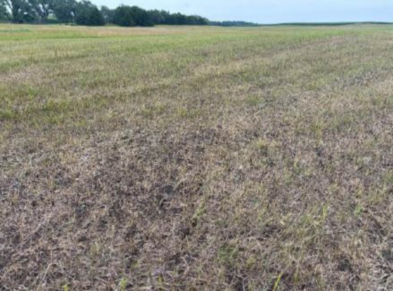 LaForge Farm & Hunting Land property picture 12 of 64