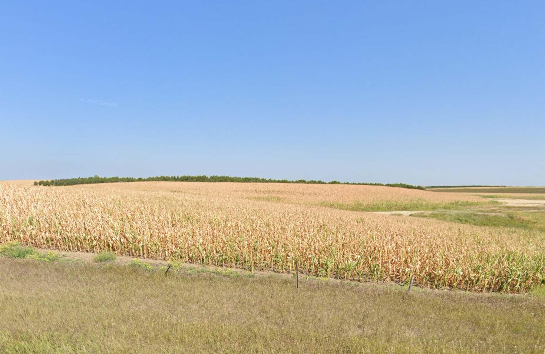 LaForge Farm & Hunting Land property picture 7 of 64