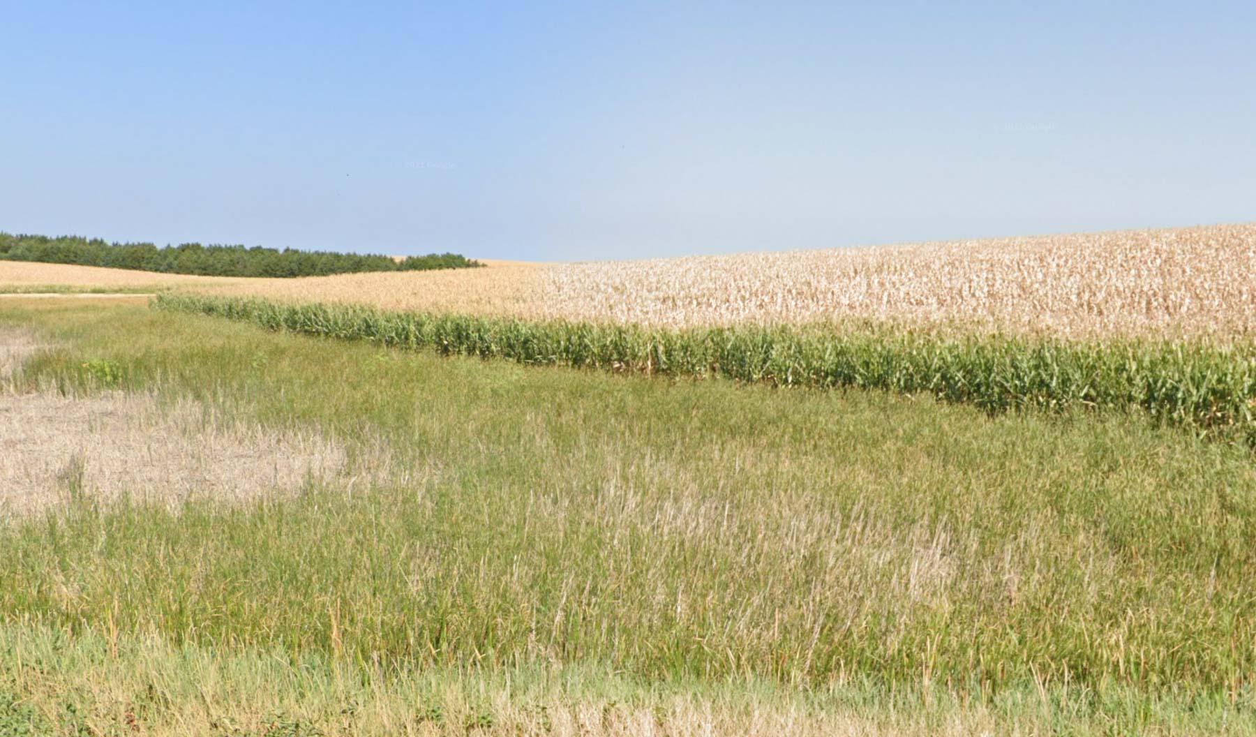 LaForge Farm & Hunting Land property picture 6 of 64