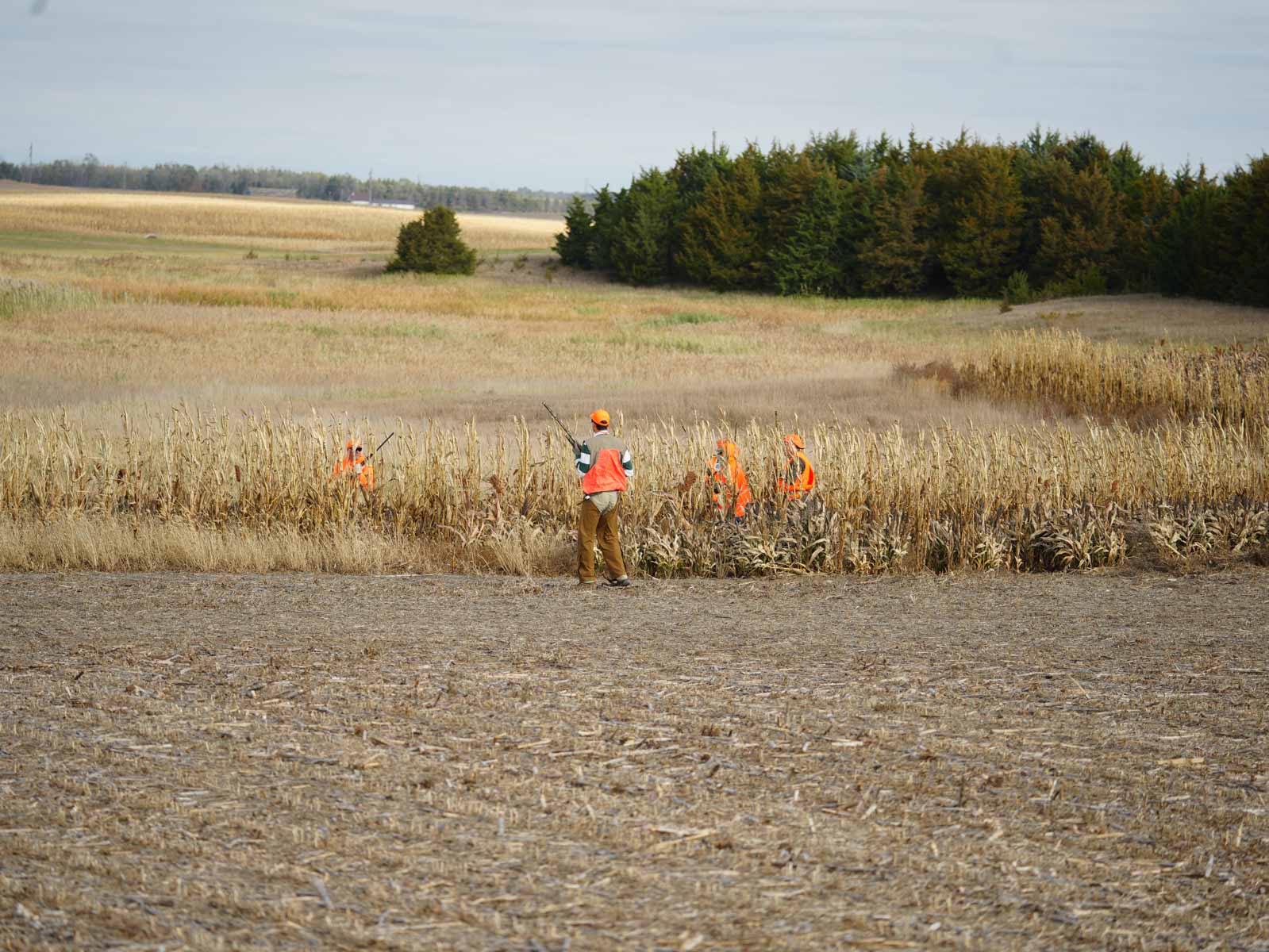 LaForge Farm & Hunting Land property picture 20 of 64