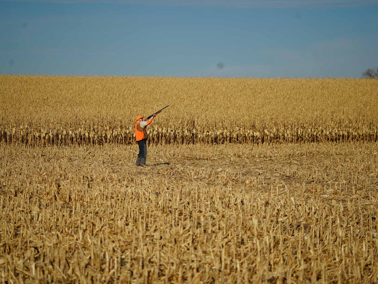LaForge Farm & Hunting Land property picture 8 of 64
