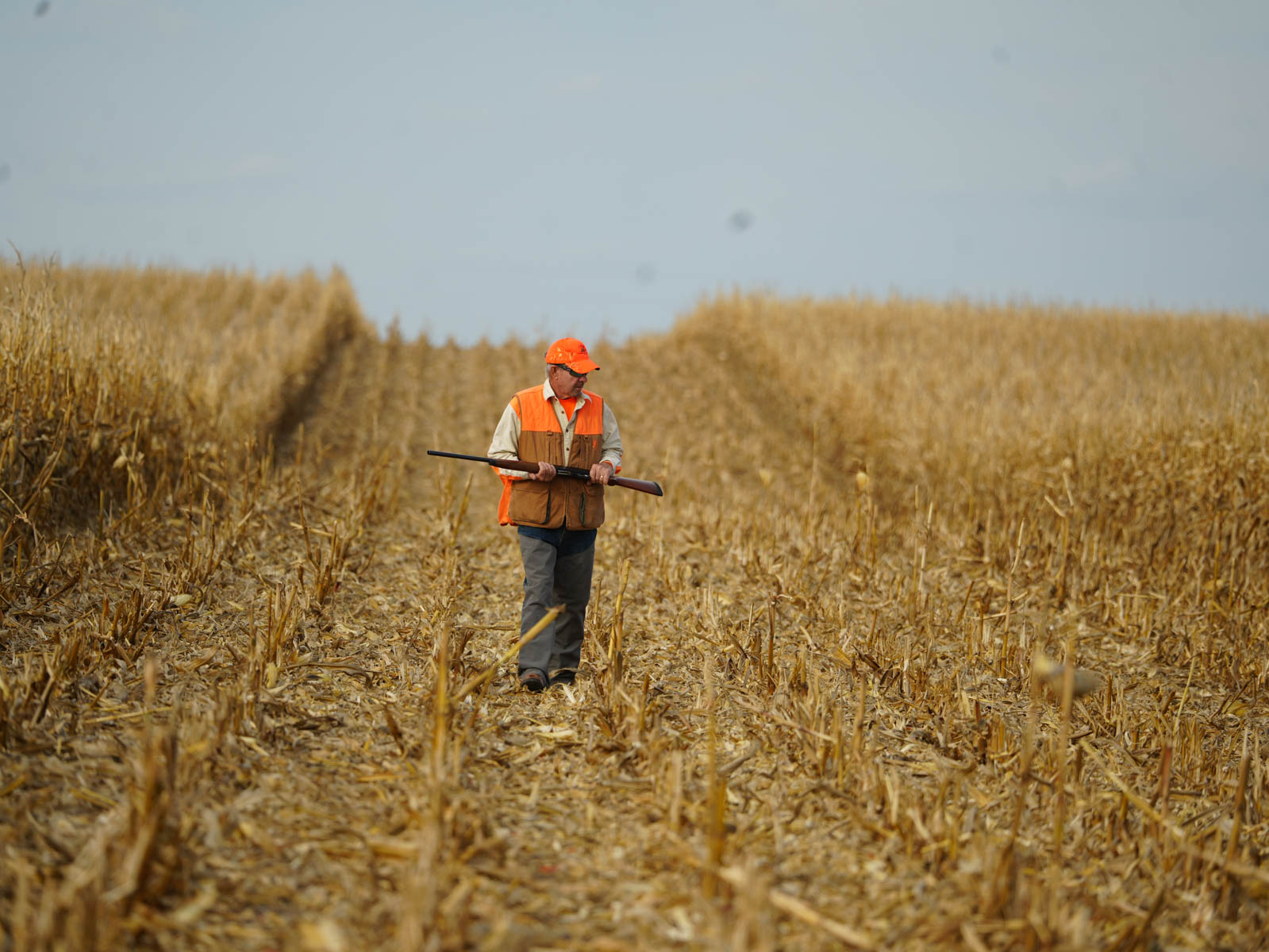 LaForge Farm & Hunting Land property picture 23 of 64