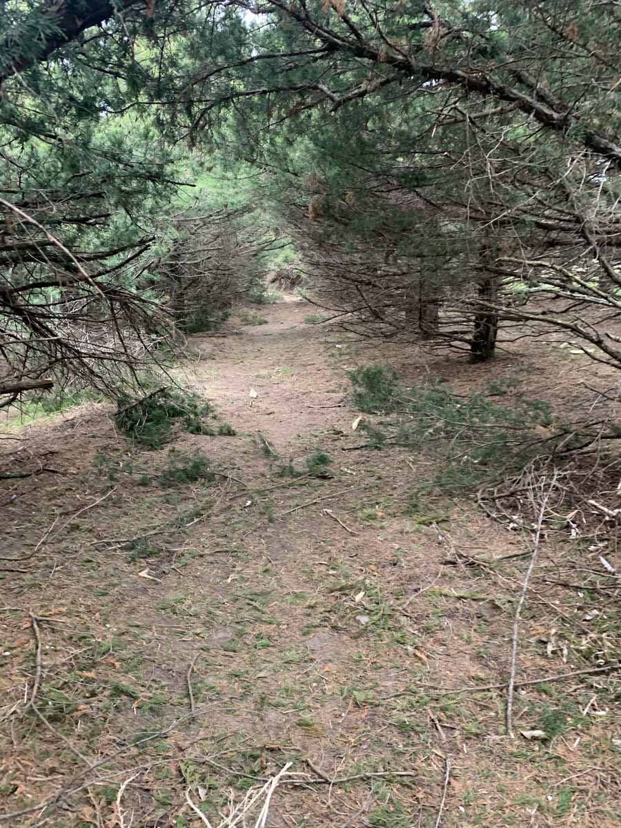 LaForge Farm & Hunting Land property picture 1 of 64