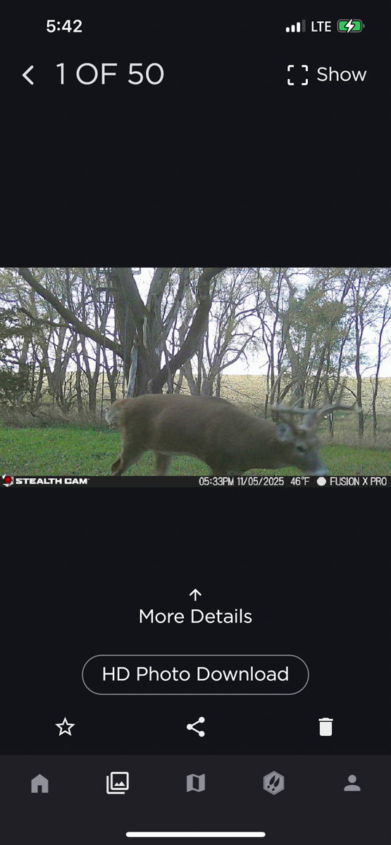 LaForge Farm & Hunting Land property picture 37 of 64