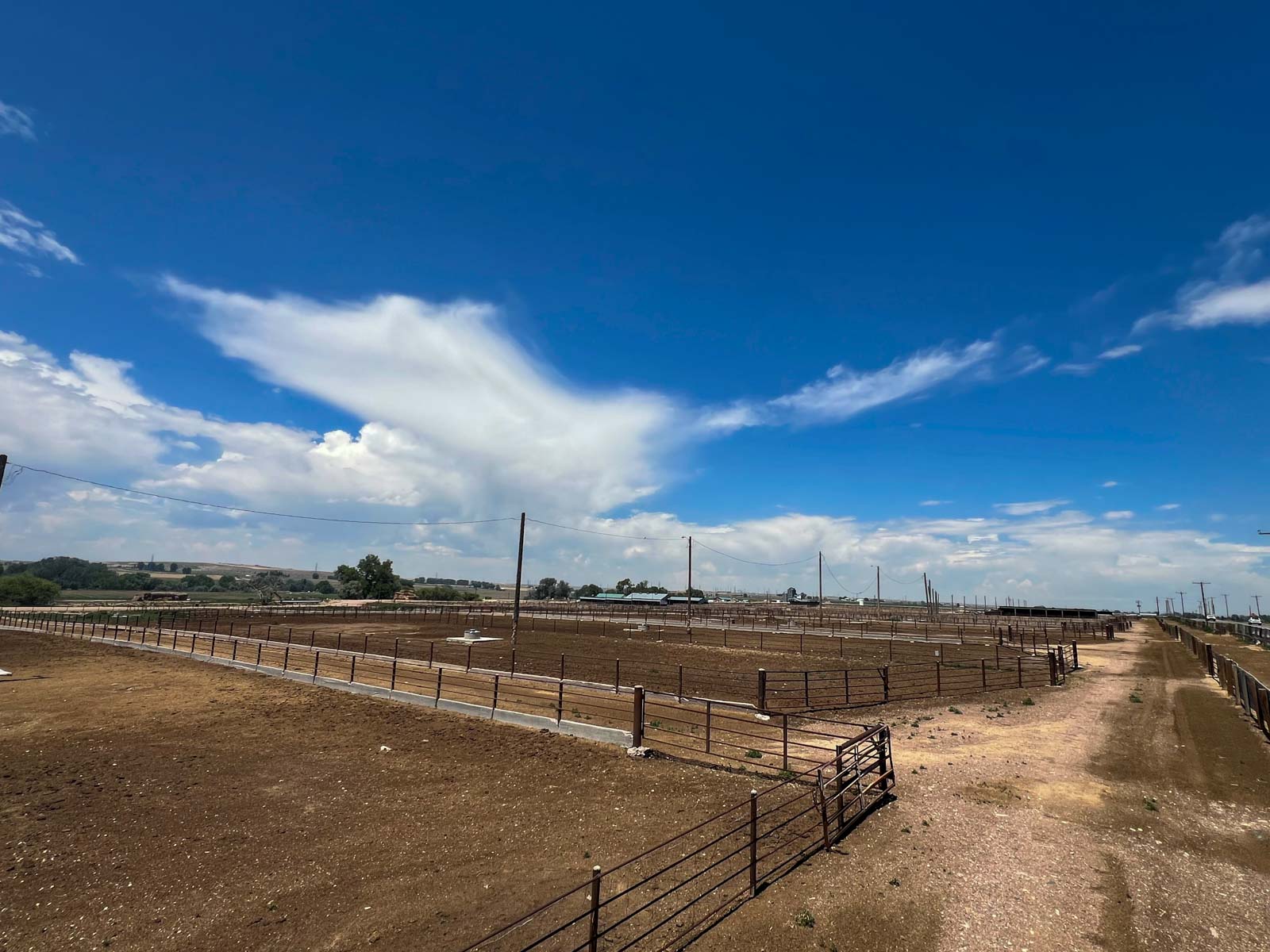 Double J property picture 12 of 60