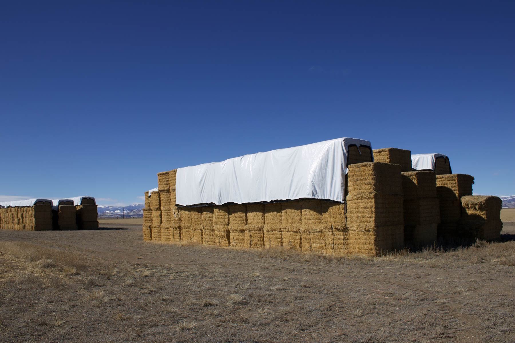 Heritage Land Holdings property picture 50 of 115