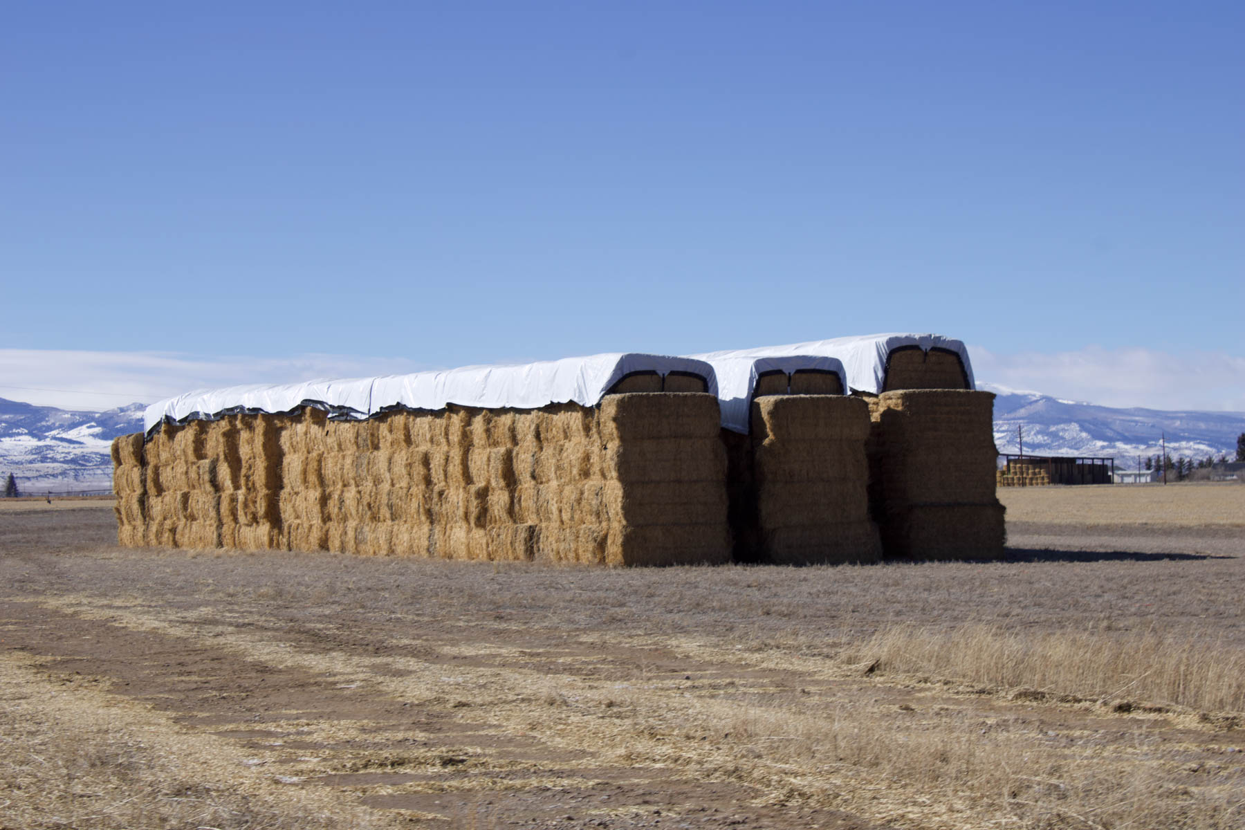 Heritage Land Holdings property picture 49 of 115