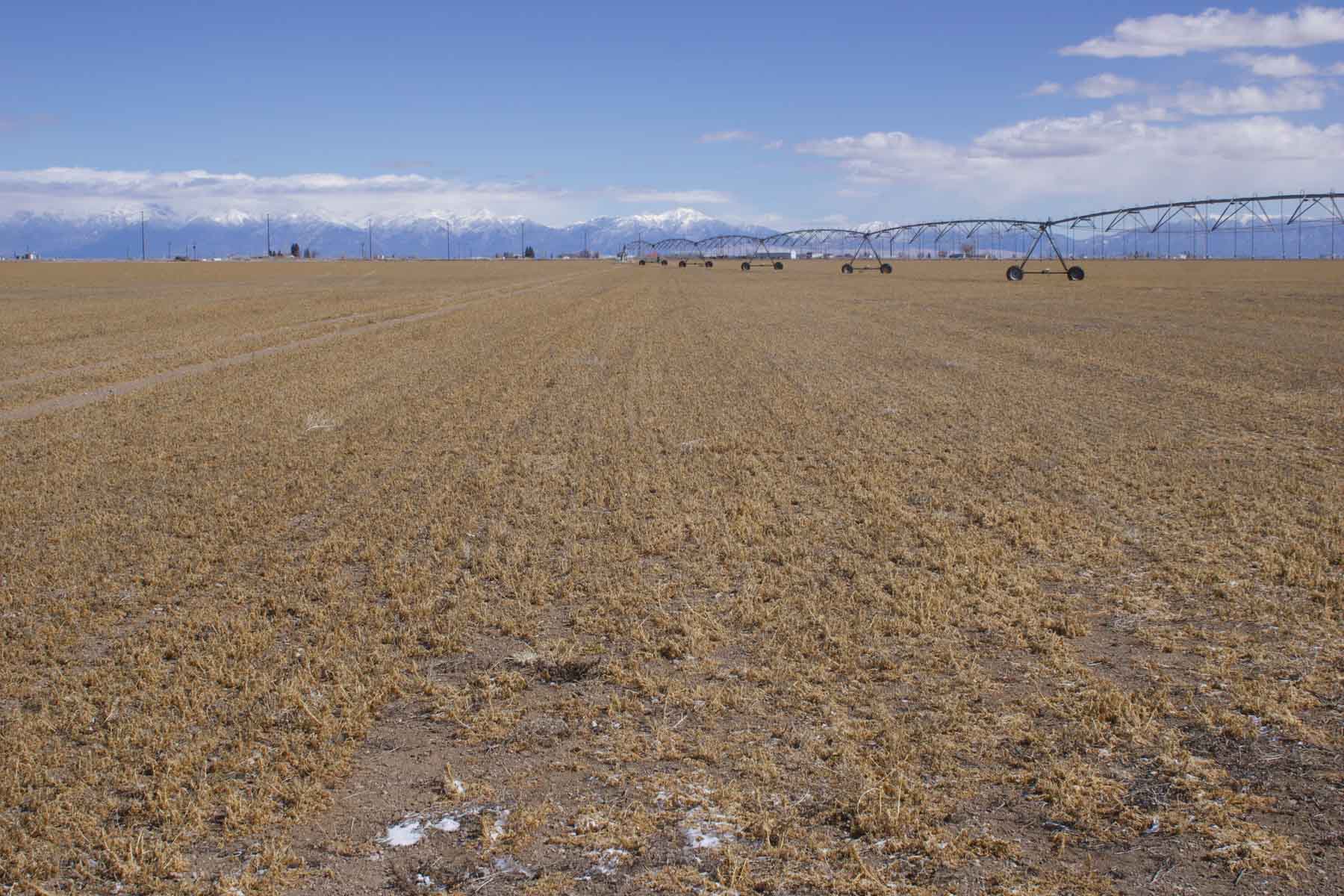 Heritage Land Holdings property picture 55 of 115