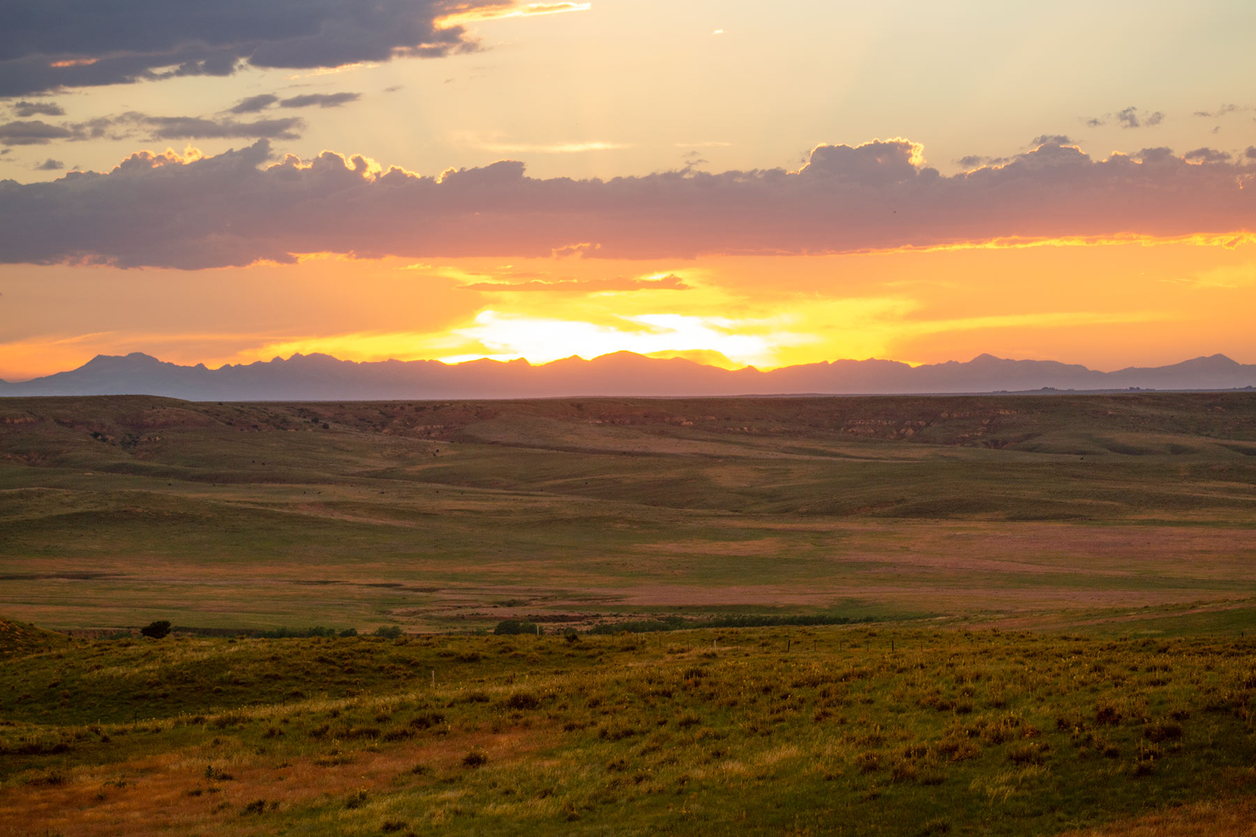 Rockin D Ranch property picture 50 of 57