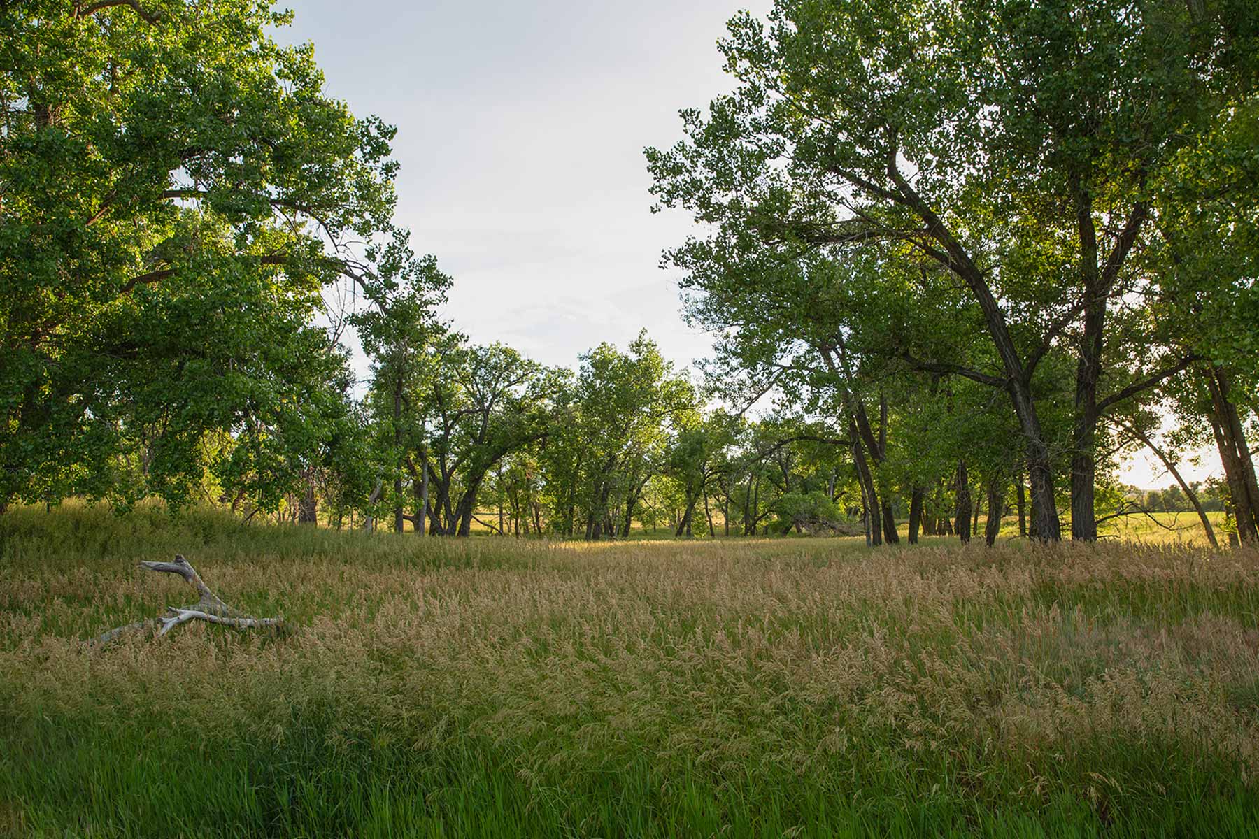 Rockin D Ranch property picture 46 of 57