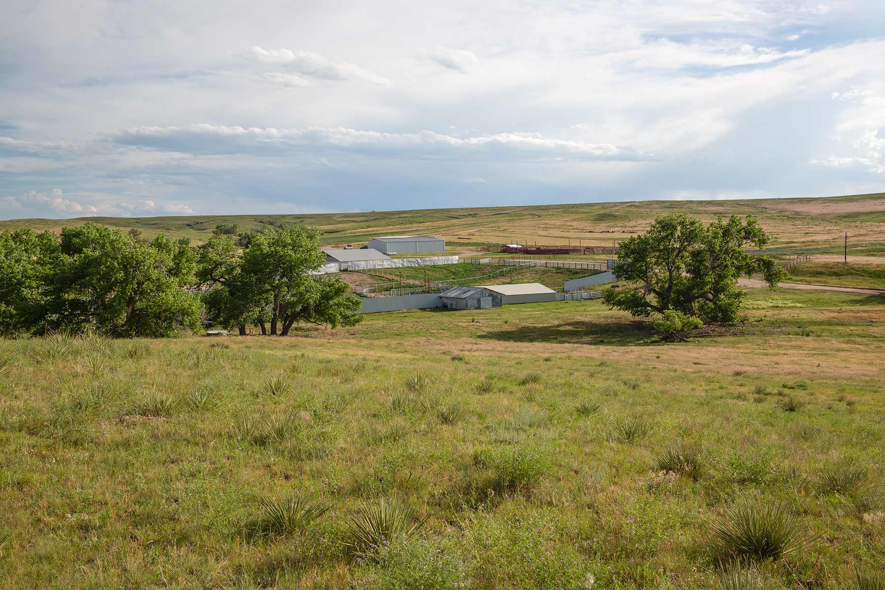 Rockin D Ranch property picture 19 of 57