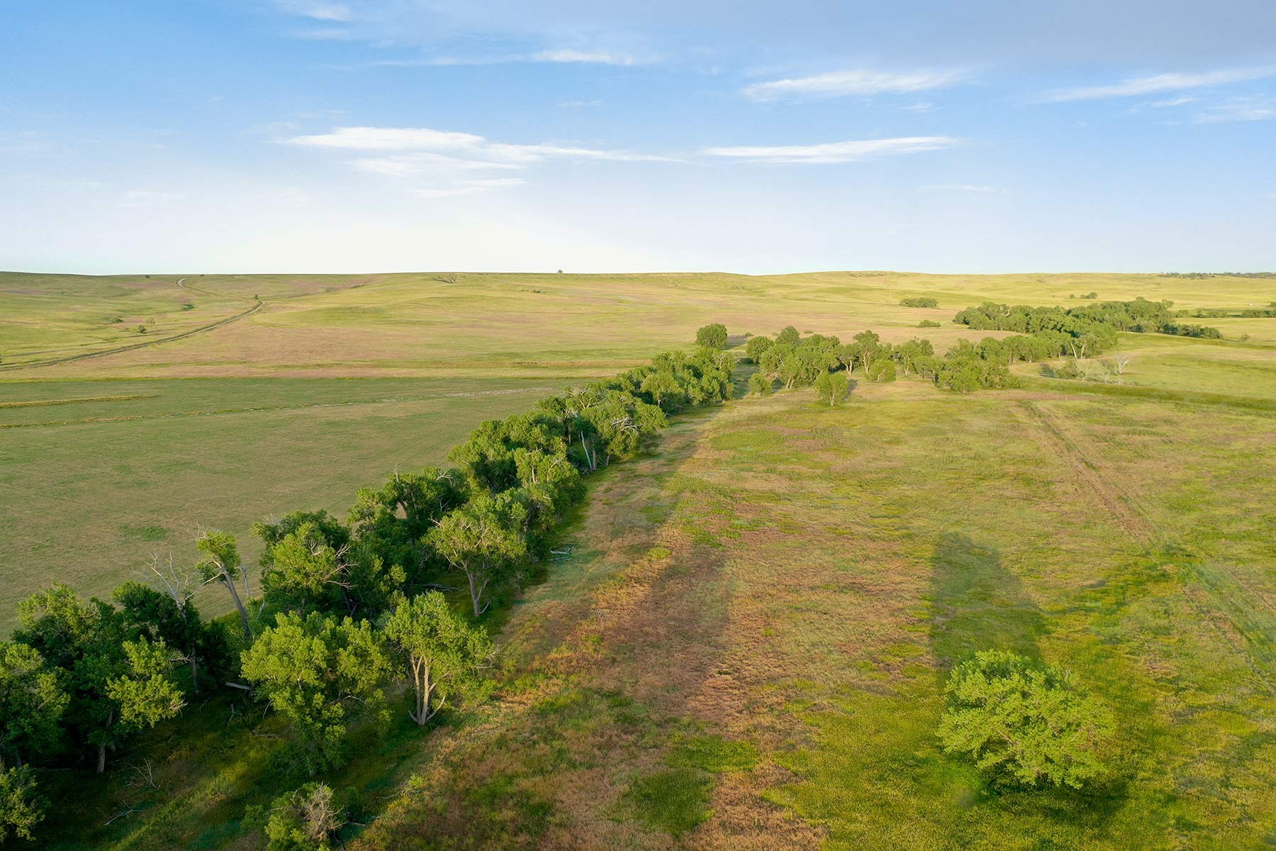 Rockin D Ranch property picture 10 of 57