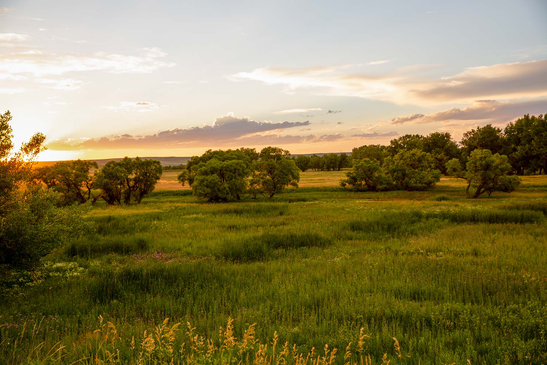 Rockin D Ranch property picture 2 of 57