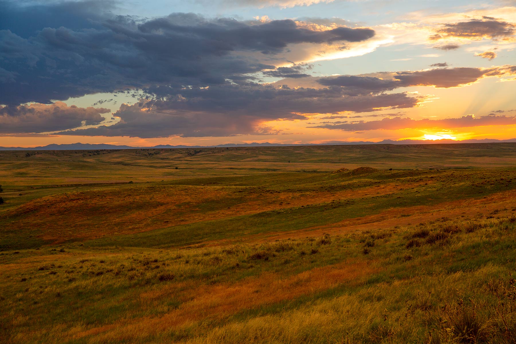 Rockin D Ranch property picture 49 of 57