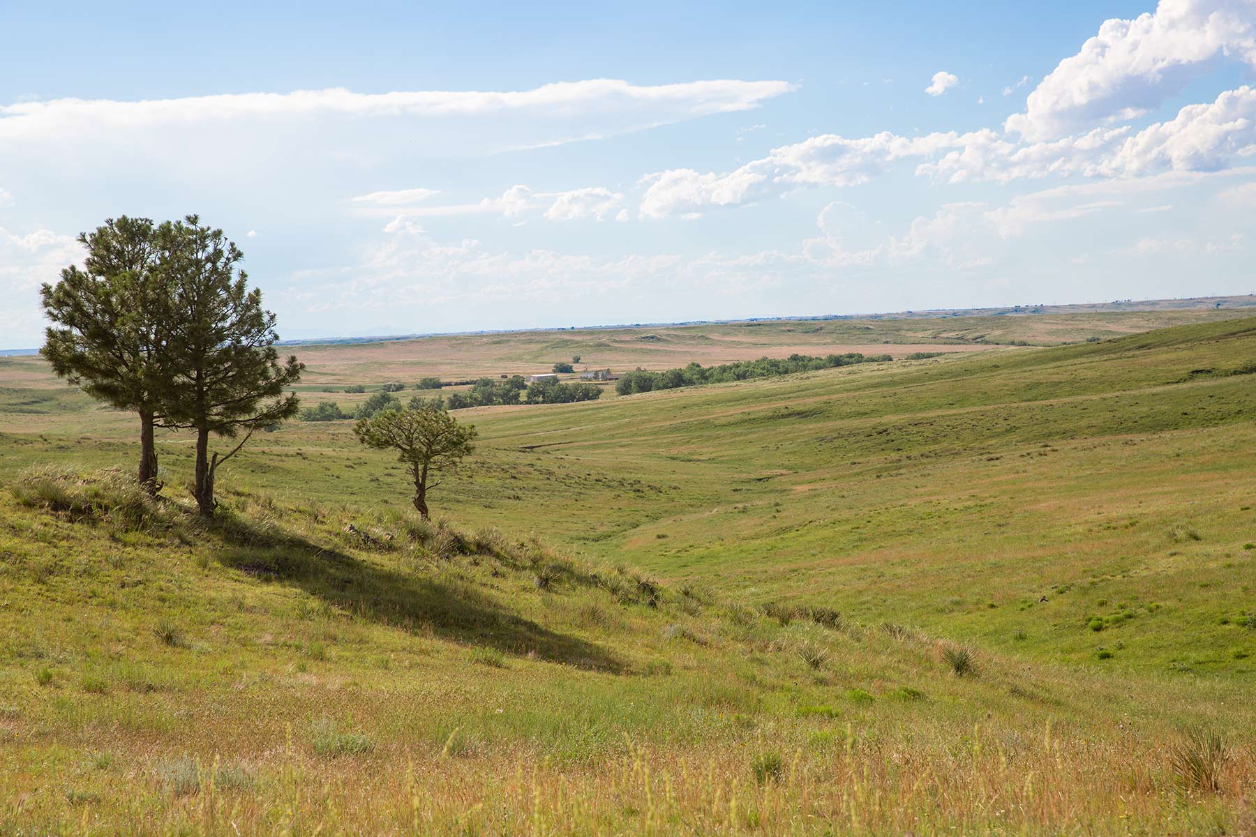 Rockin D Ranch property picture 9 of 57