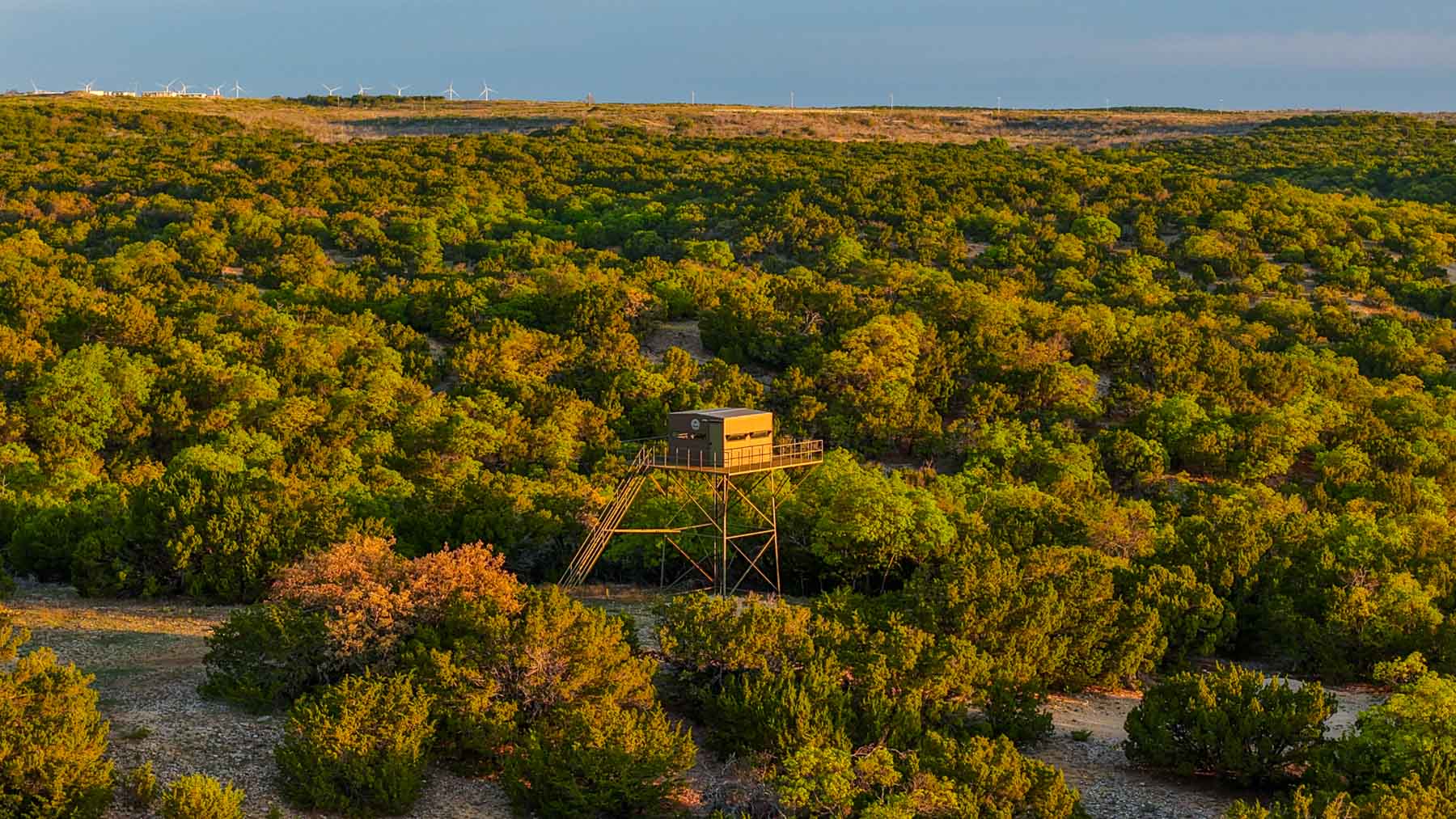 3T Ranch property picture 54 of 67