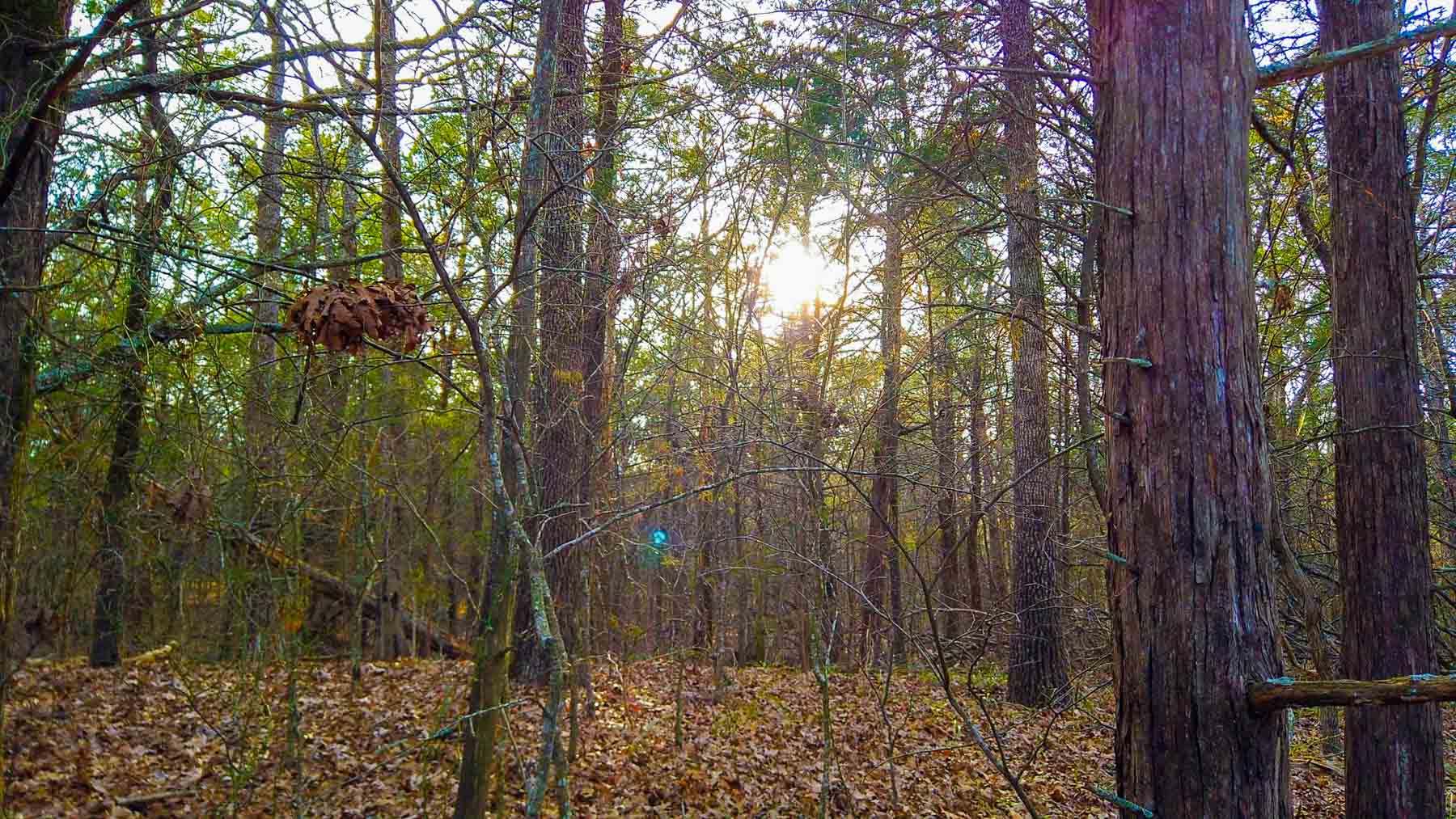 Rock Creek Ranch property picture 14 of 41