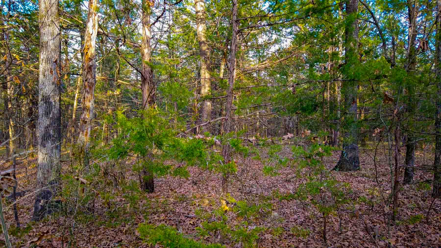 Rock Creek Ranch property picture 13 of 41