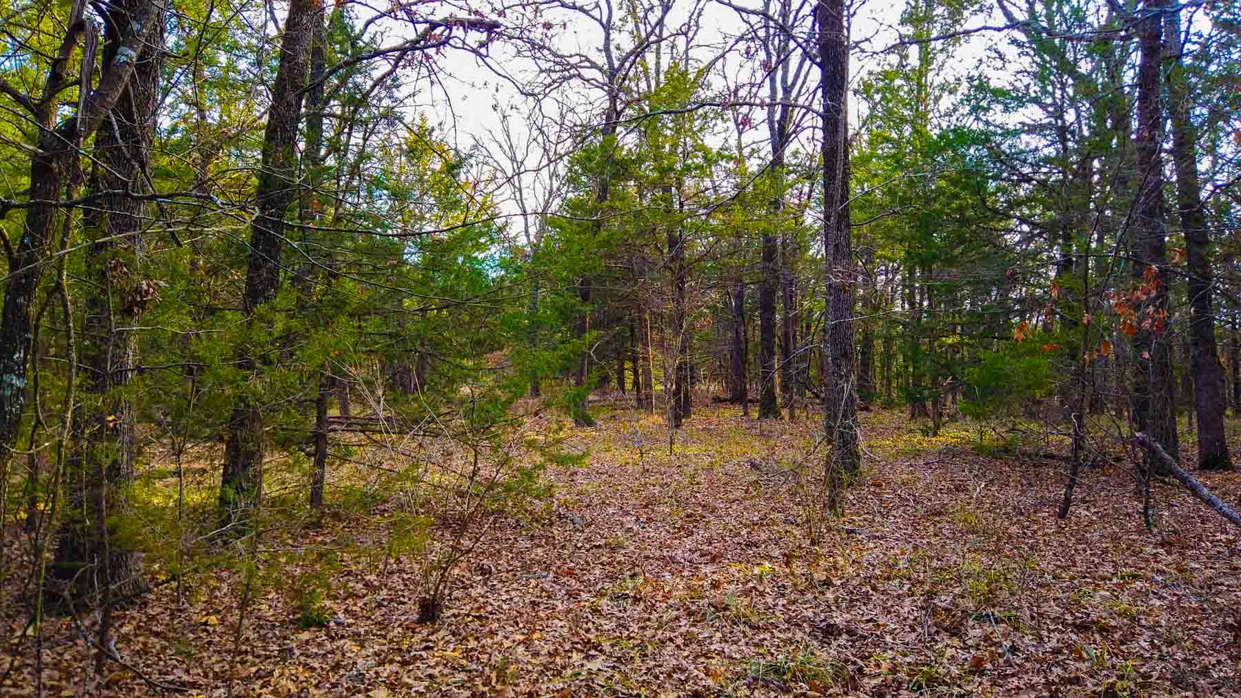 Rock Creek Ranch property picture 12 of 41