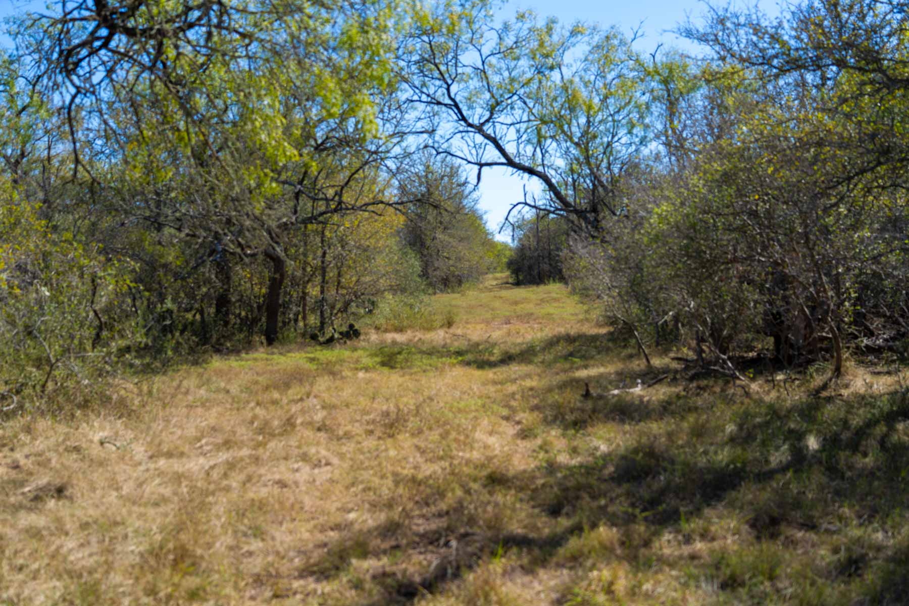Plum Creek Ranch property picture 3 of 12