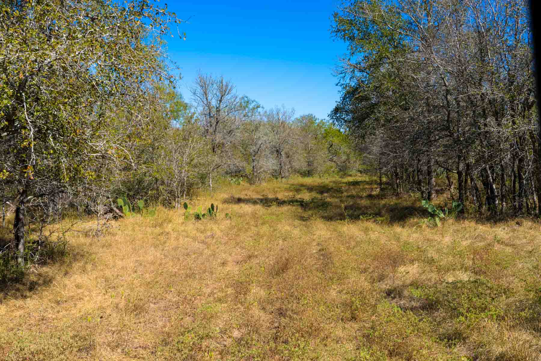 Plum Creek Ranch property picture 11 of 12