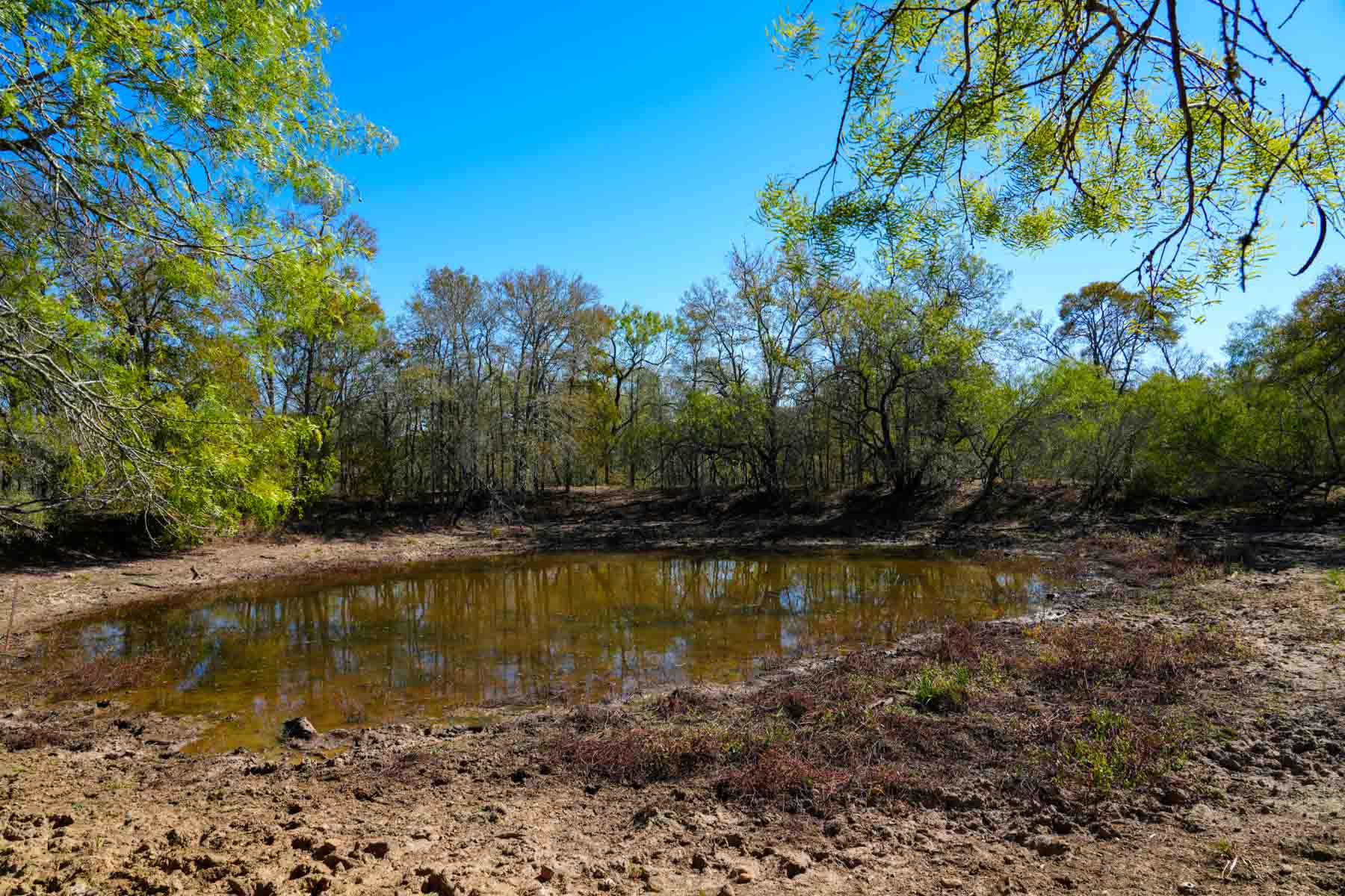 Plum Creek Ranch property picture 4 of 12