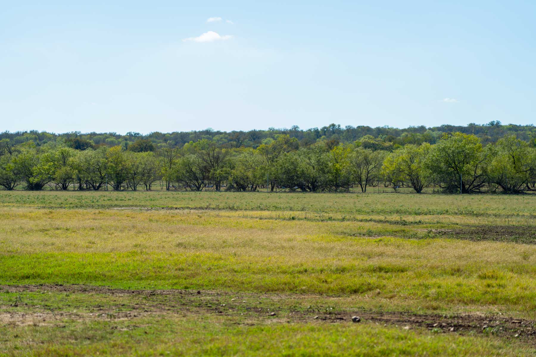 Plum Creek Ranch property picture 6 of 12