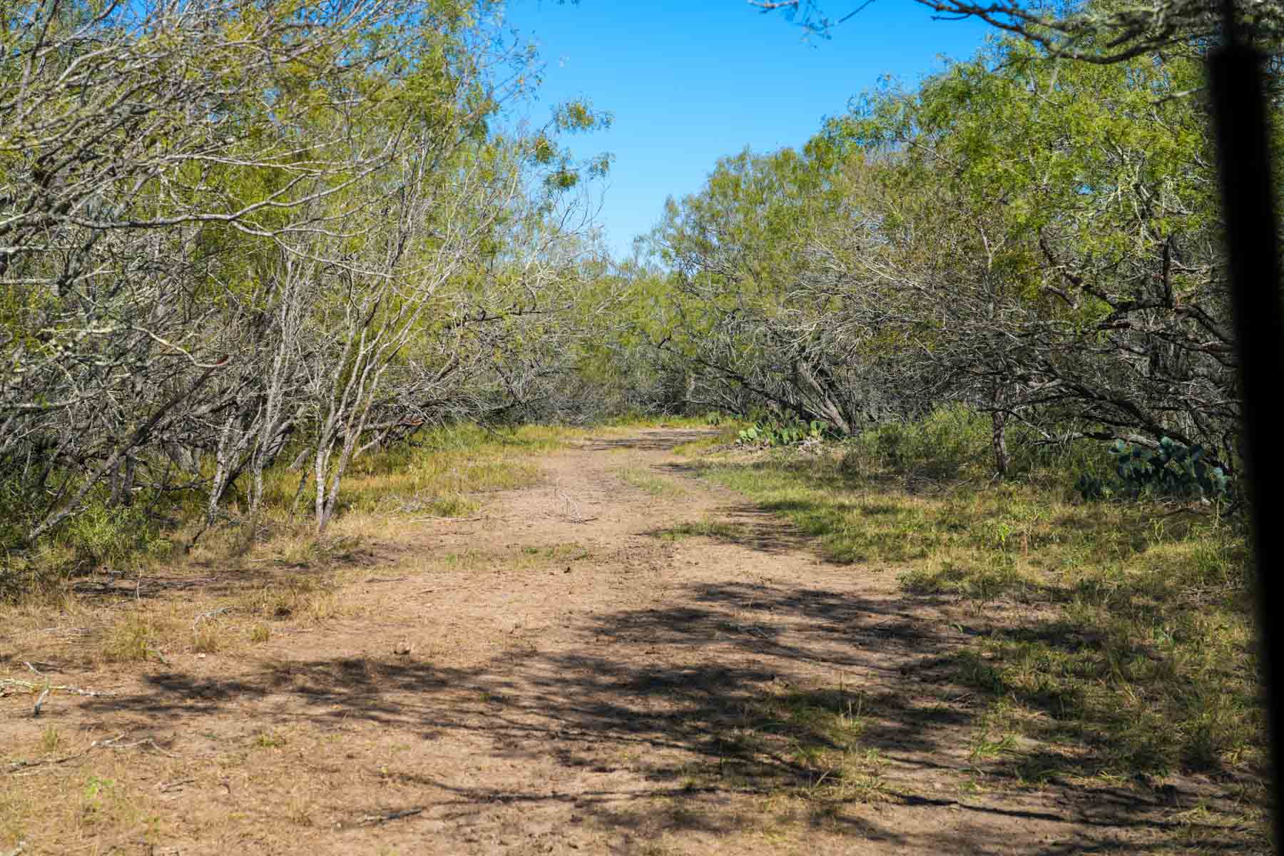 Plum Creek Ranch property picture 8 of 12