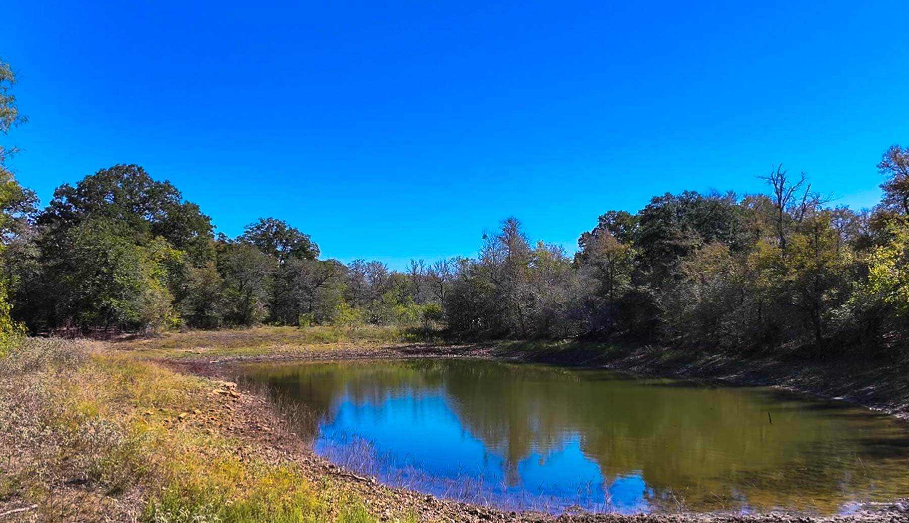 Plum Creek Ranch property picture 9 of 12