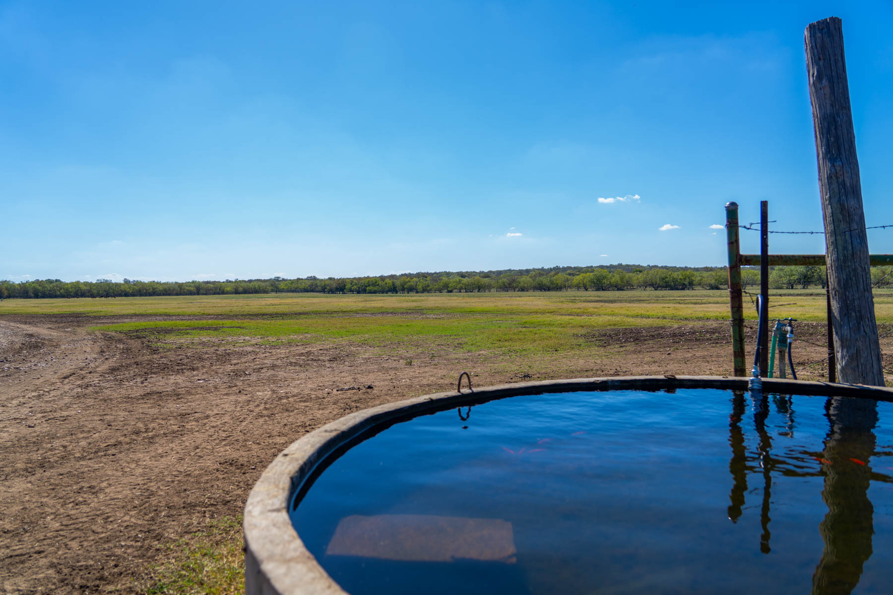 Plum Creek Ranch property picture 5 of 12