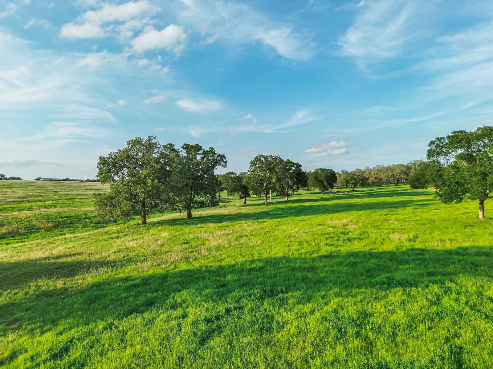 Lockhart Hills Ranch property picture 37 of 65