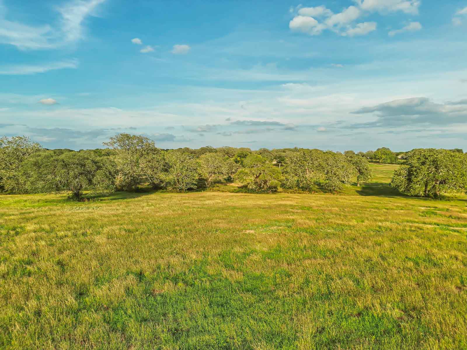 Lockhart Hills Ranch property picture 30 of 65