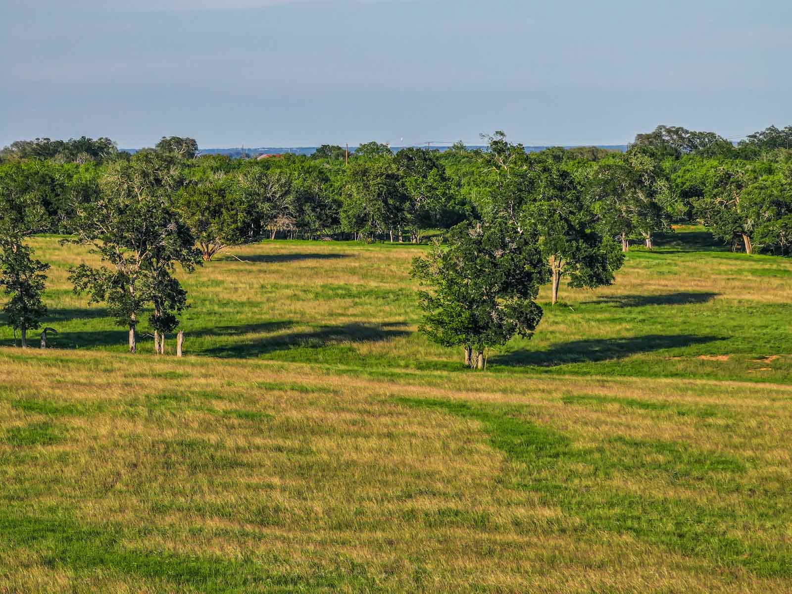 Lockhart Hills Ranch property picture 16 of 65