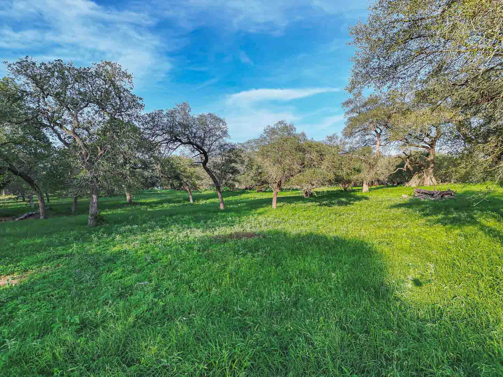 Lockhart Hills Ranch property picture 34 of 65