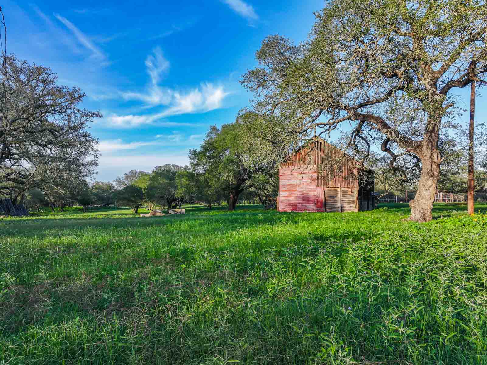 Lockhart Hills Ranch property picture 5 of 65