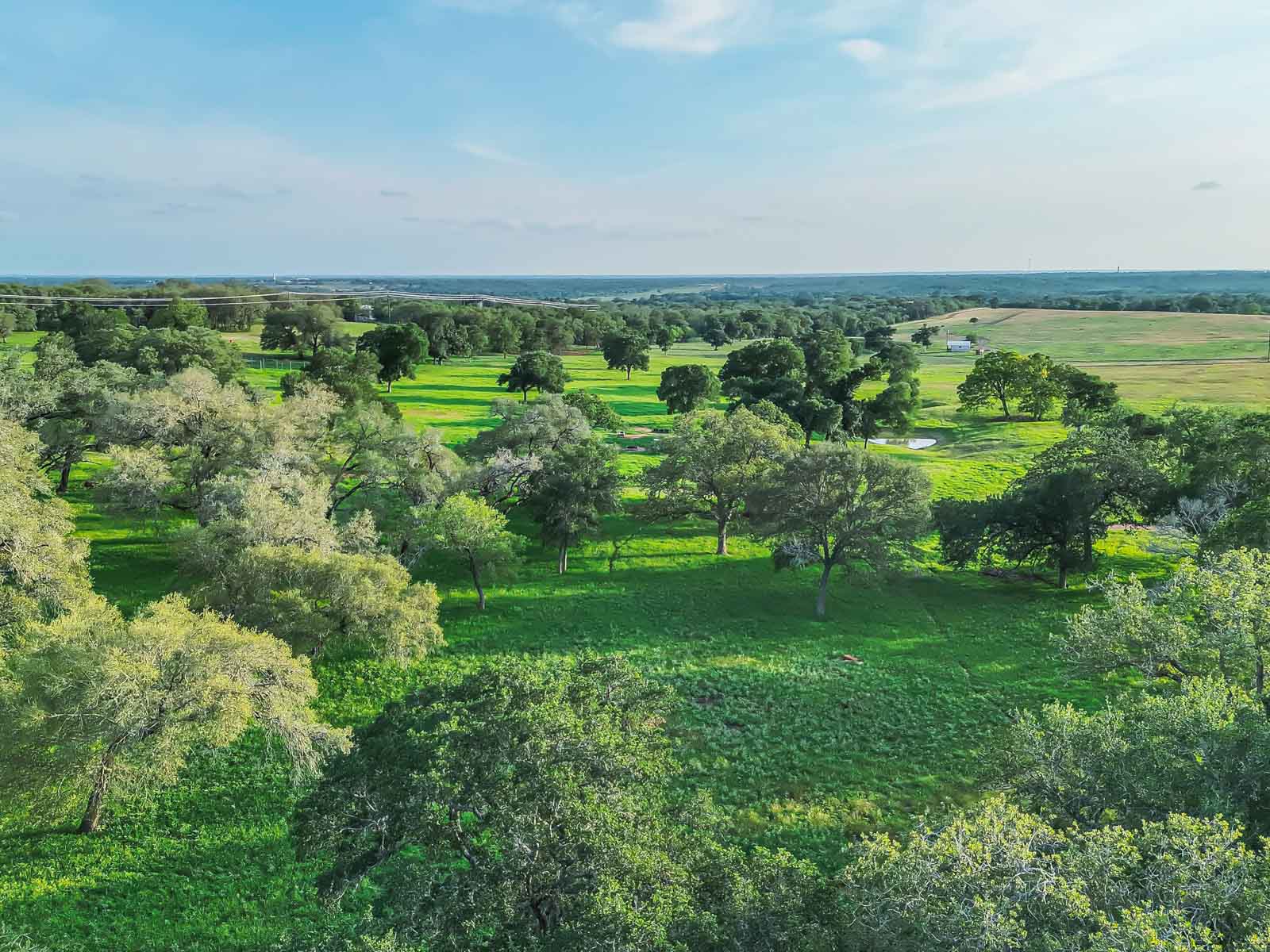 Lockhart Hills Ranch property picture 14 of 65