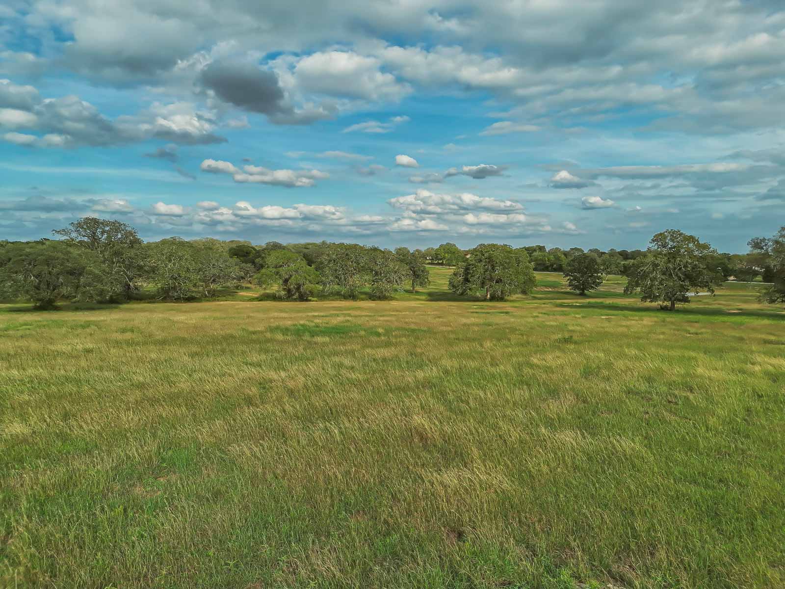 Lockhart Hills Ranch property picture 26 of 65