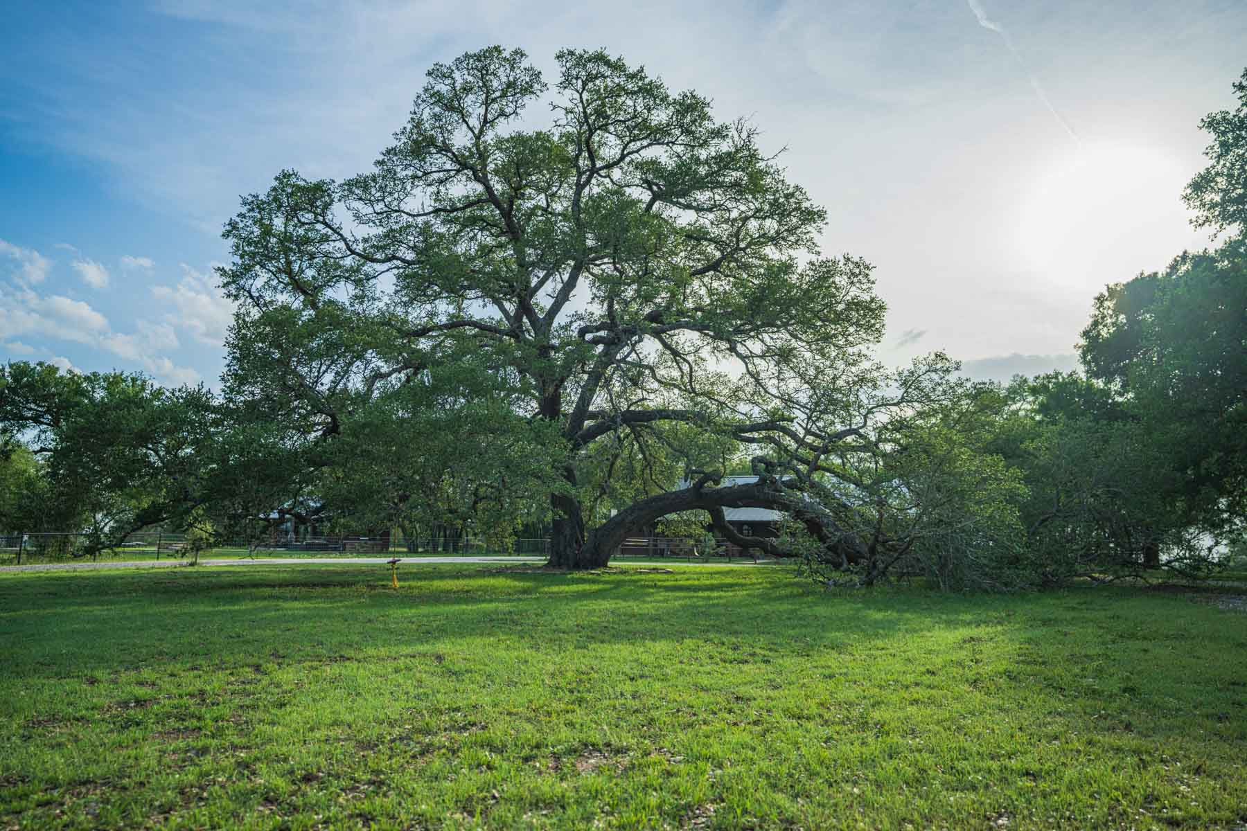 Lockhart Hills Ranch property picture 1 of 65
